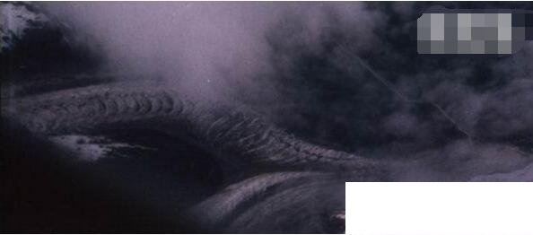 衛(wèi)星拍到的真龍鳳凰